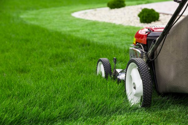 Cost of Mowing Service in Leesburg