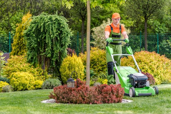 Cost of Yard Service in Leesburg