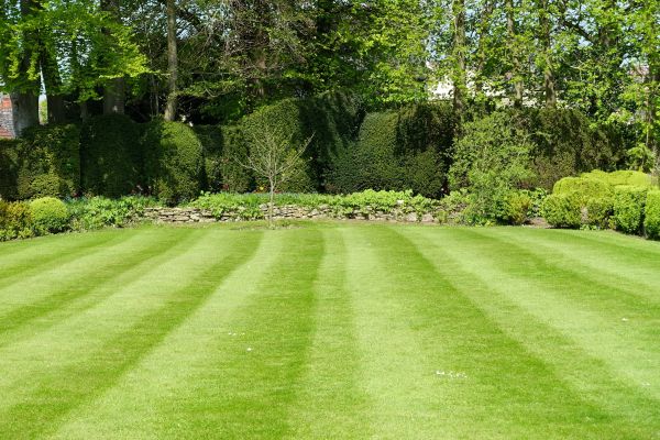 Cost of Grass Care Service in Leesburg