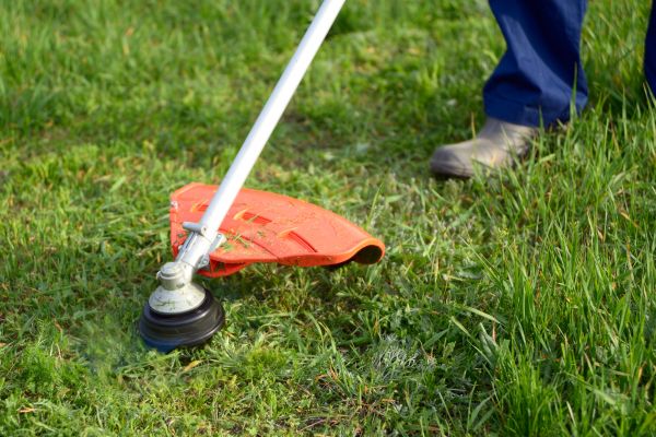 Cost of Lawn Weed Whacking in Leesburg