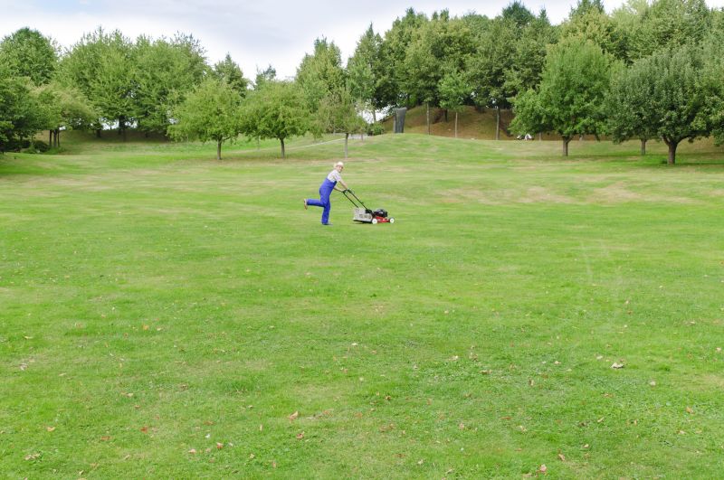 Lawn Mowing Service at Work