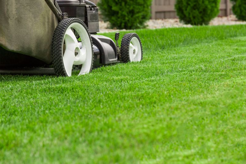 Routine Lawn Care